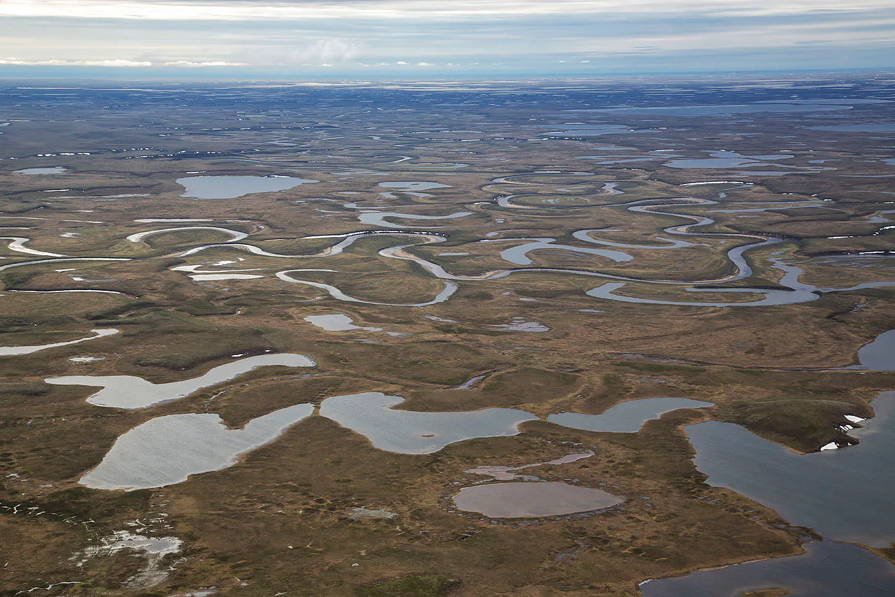 Subarctic America One Earth